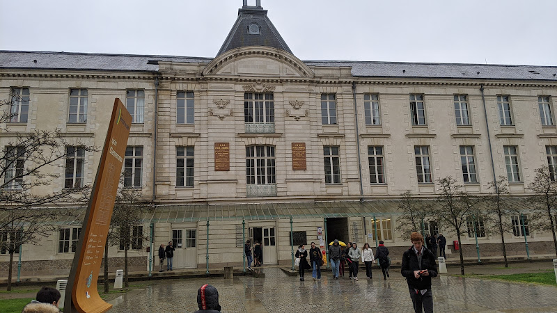 Lycée Clemenceau