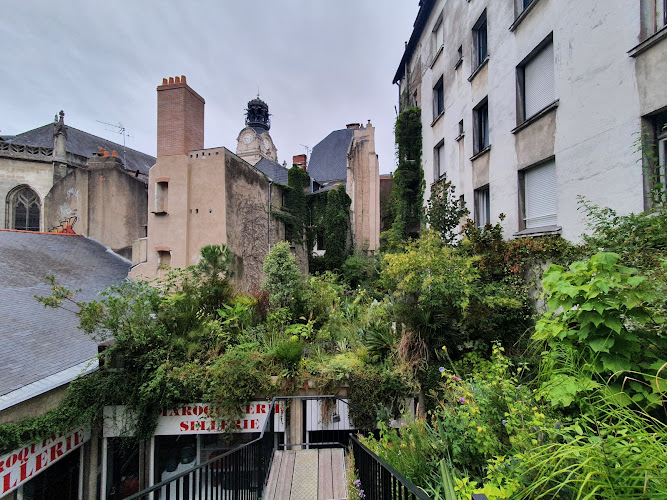 Jardin urbaine