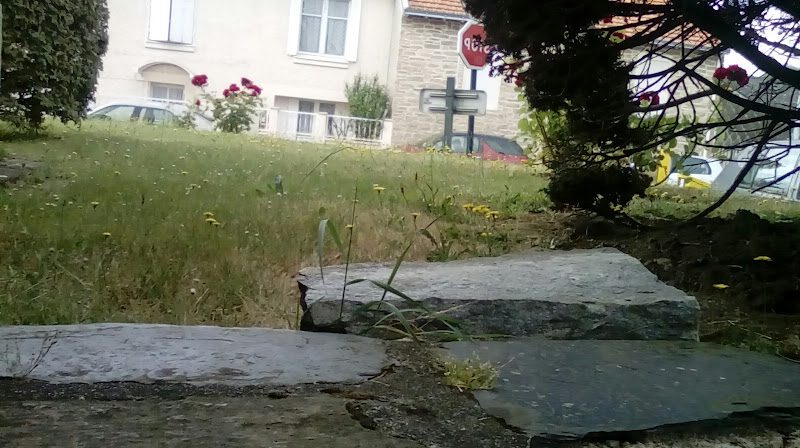 CHIENS, CHATS ET COMPAGNIE