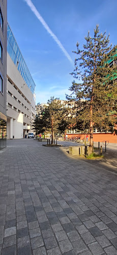 Nantes Université – UFR des Sciences Pharmaceutiques et Biologiques