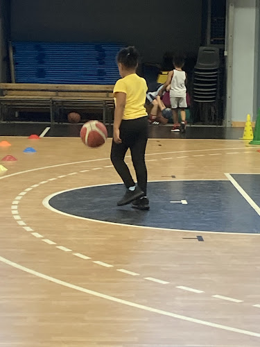 ALPCM NANTES BASKET