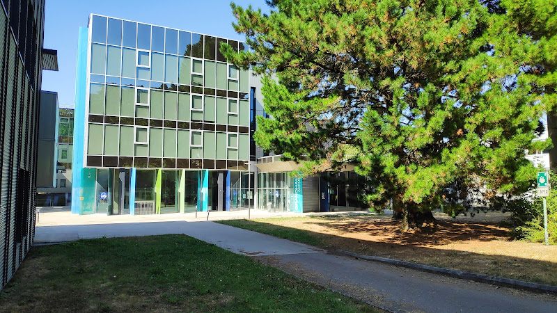 Nantes Université – UFR Histoire, Histoire de l&rsquo;Art et Archéologie