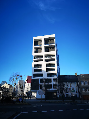 Les reflets de Loire