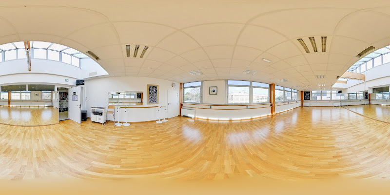 LE STUDIO DE LA DANSE