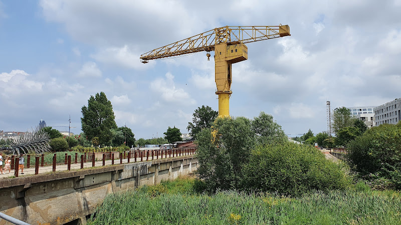 Grue Titan Jaune