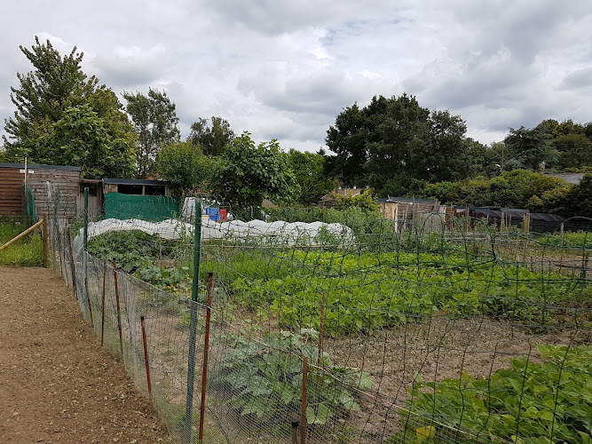 Jardins familiaux Chaupières