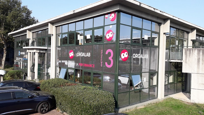 EliteOrga – OrgaLab