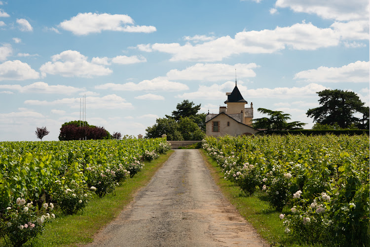 Kevcos – Photographe Nantes