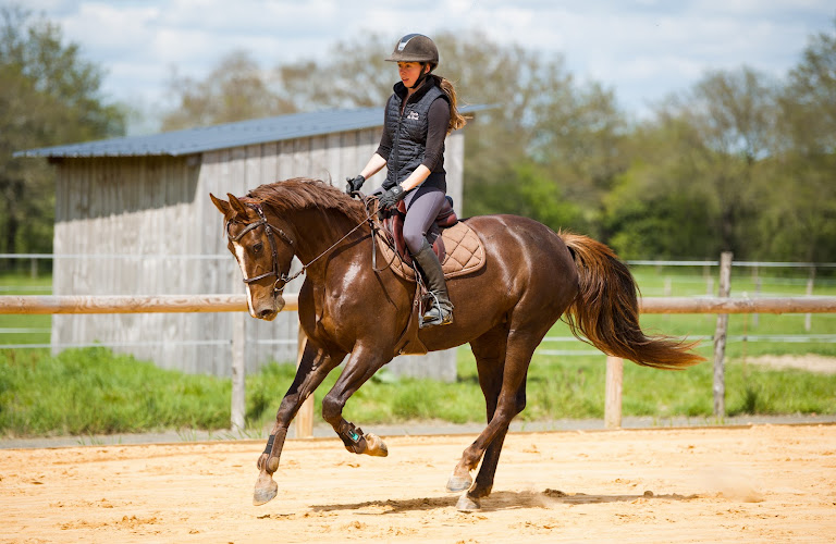 Claire Bodic Photographie