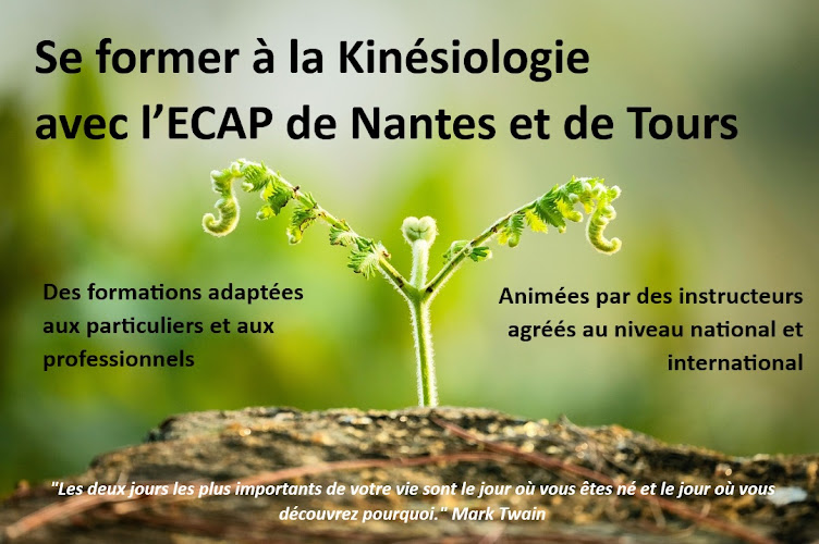 ECAP de Nantes – Ecole de Kinésiologie Internationale