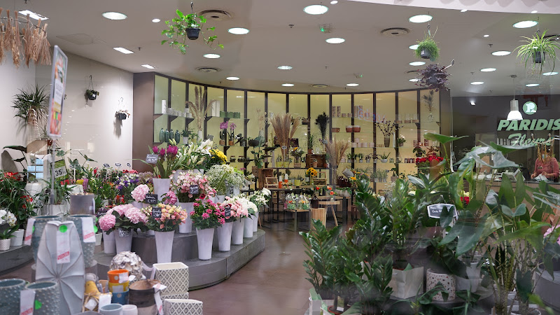 Paridis Fleurs