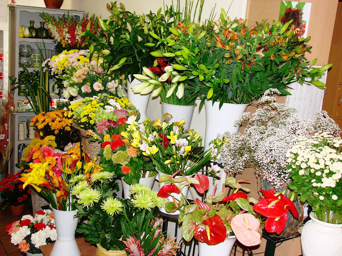 Aidesse Fleurs