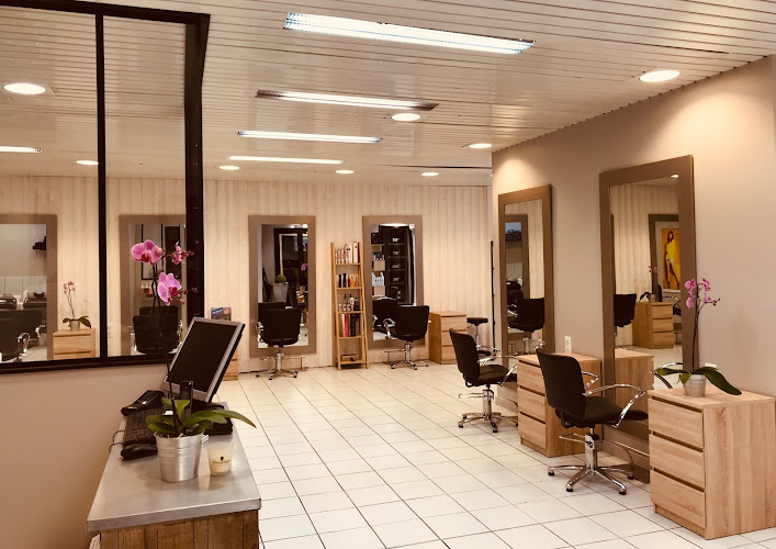 Cyril Bazin Coiffeur Créateur