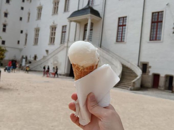 Les Delices du Plongeon