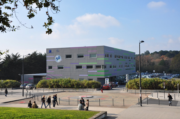 IAE Nantes (Bâtiment Petit Port)