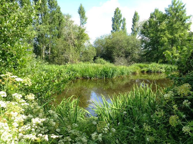 Fédération Des Amis De L’Erdre