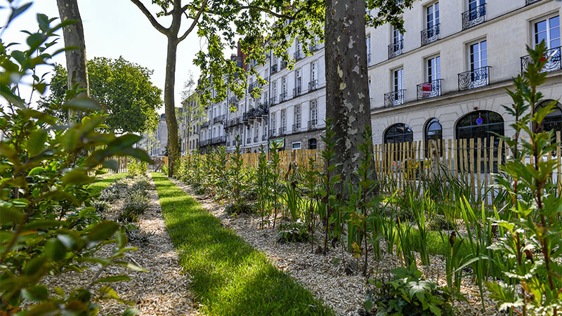 Formation vocale Nantes / Cours de chant Nantes