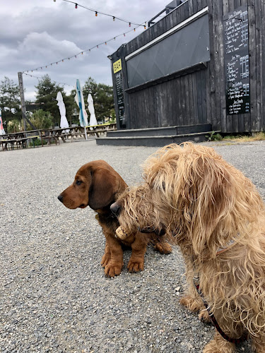 Juste le chien – Éducation canine à Nantes
