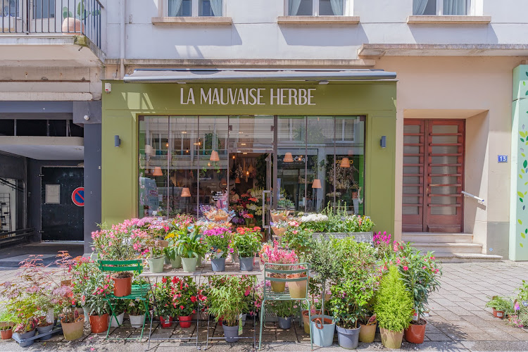 La Mauvaise Herbe