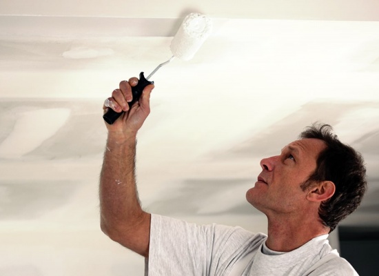 Mr. Peintre : Artisan Professionnel