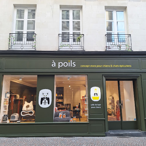 A Poils Concept Store Chiens et Chats