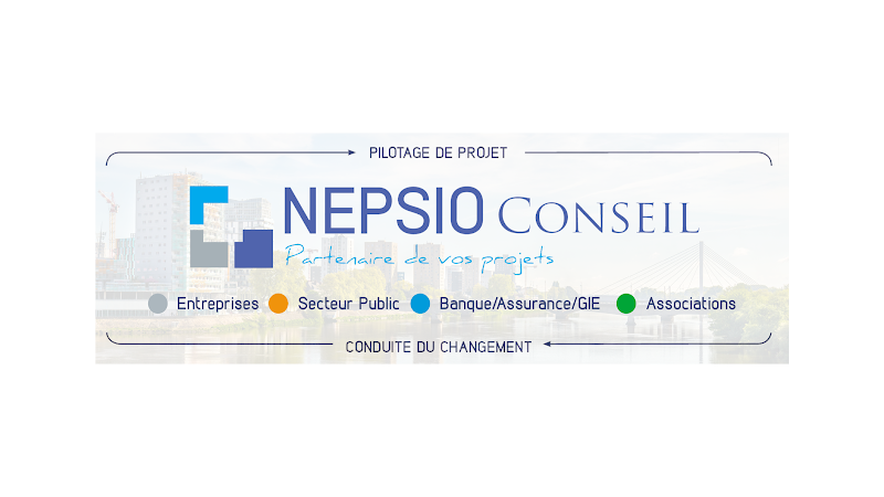 NEPSIO Conseil