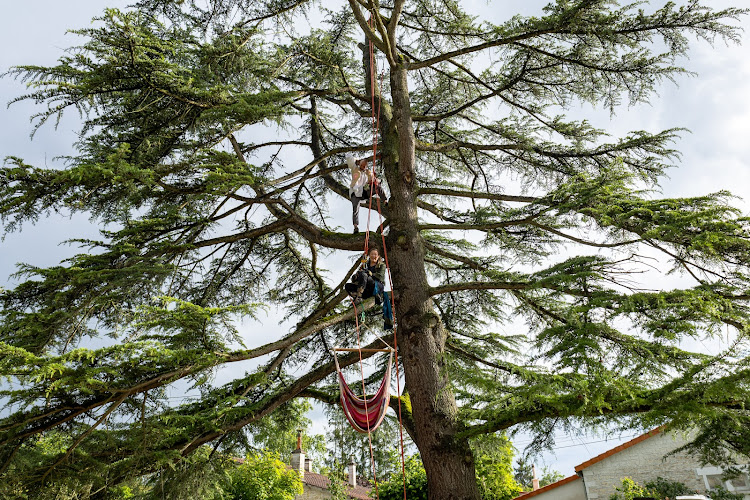 Les Doux Sauvages – Compagnie de théâtre