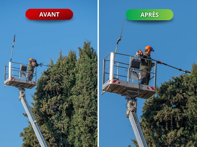 Elagage et Abattage Nantes