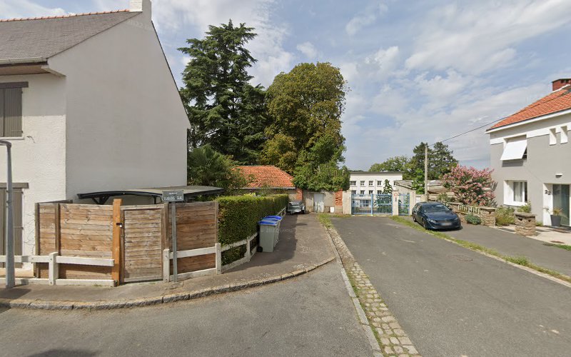 Prune Salmon – Motion Designer