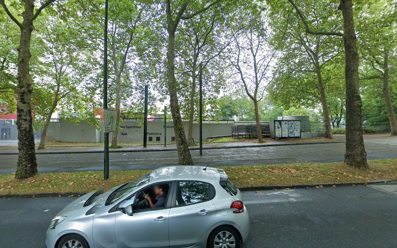 Les P&rsquo;tits Dauphins