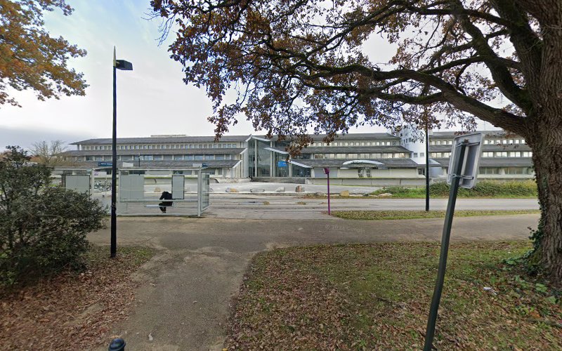 Polytech Nantes