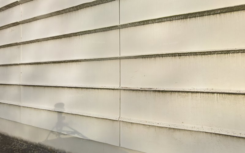 Paridis Restauraation