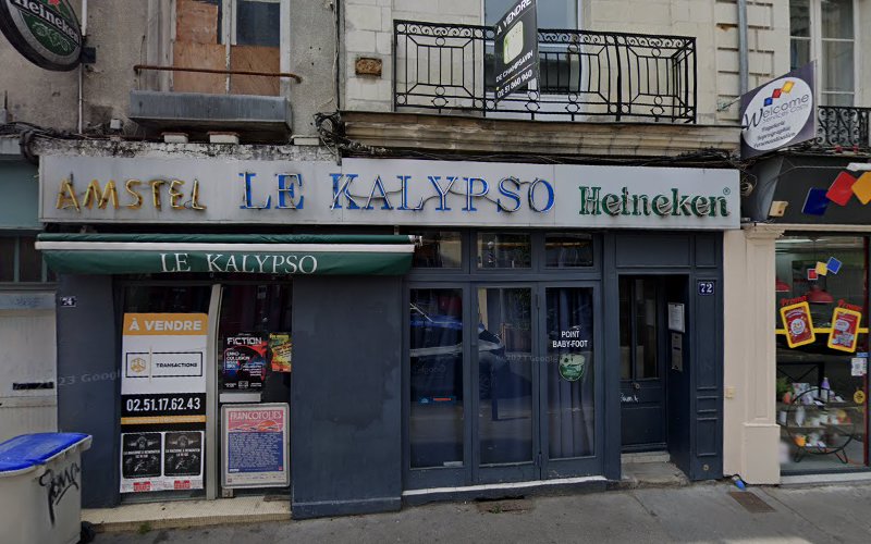 Intiko Coloration Végétale